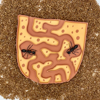 Mraveniště - tác pro smyslové hraní