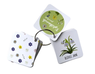 Kytičkovník - jarní kvítí - digitální materiál