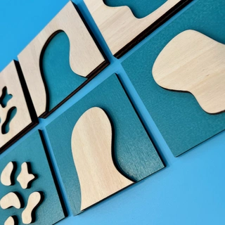 Vodní a pevninské plochy