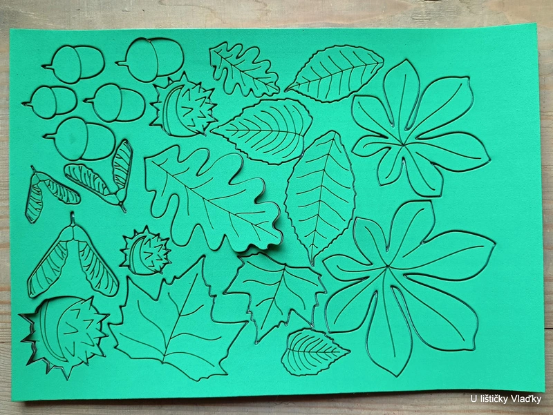 Sada pro výrobu pěnových razítek - LISTY A PLODY