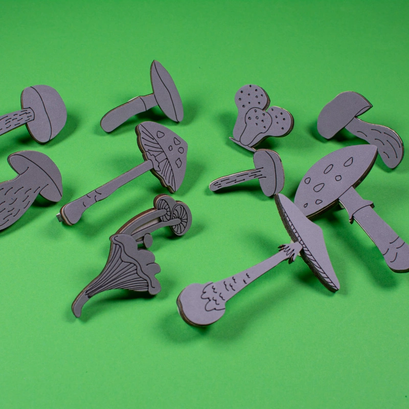 Houby - pěnová razítka - sada 11 ks