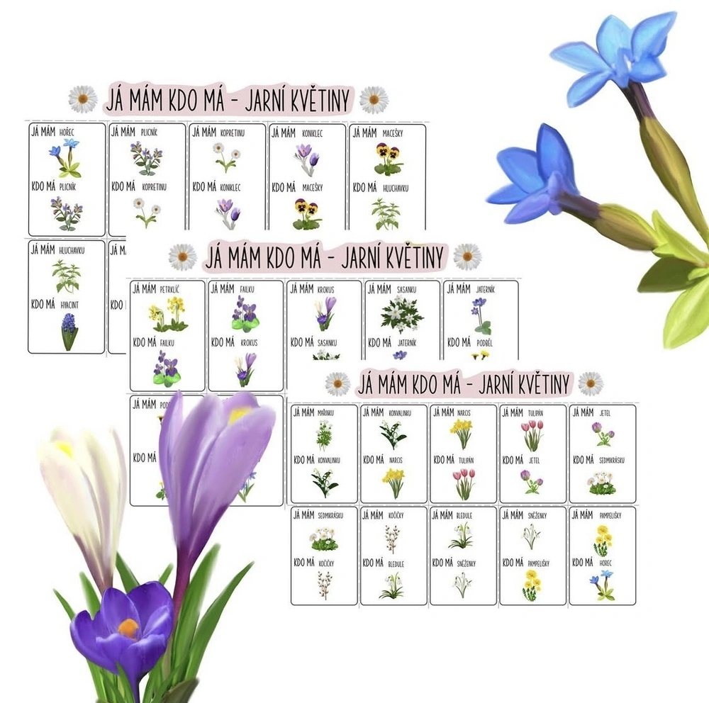 Já mám, kdo má - Jarní kvítí - digitální materiál