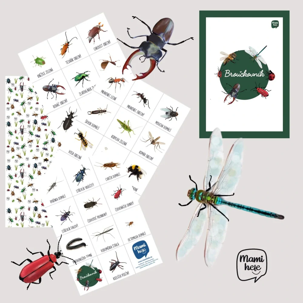 Broučkovník - digitální materiál