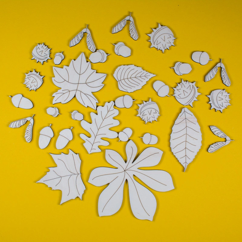 Listy a plody - sada 31 ks