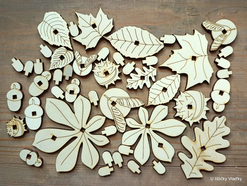 Sada pro výrobu pěnových razítek - LISTY A PLODY