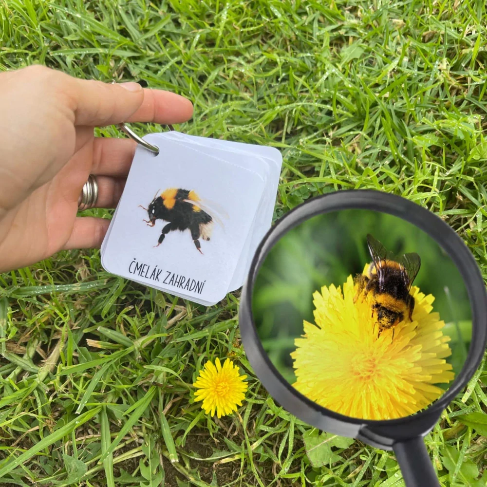 Broučkovník - digitální materiál