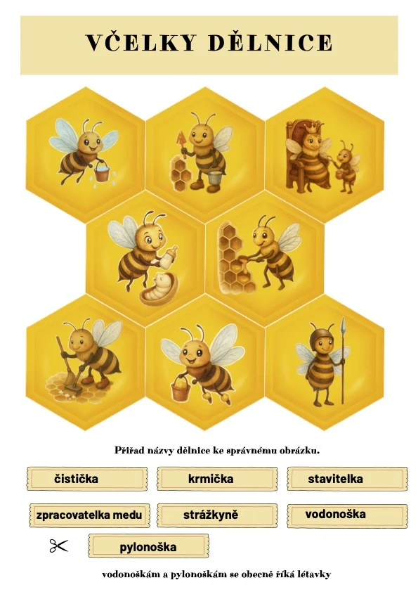 Včely pro malé badatele - digitální materiál