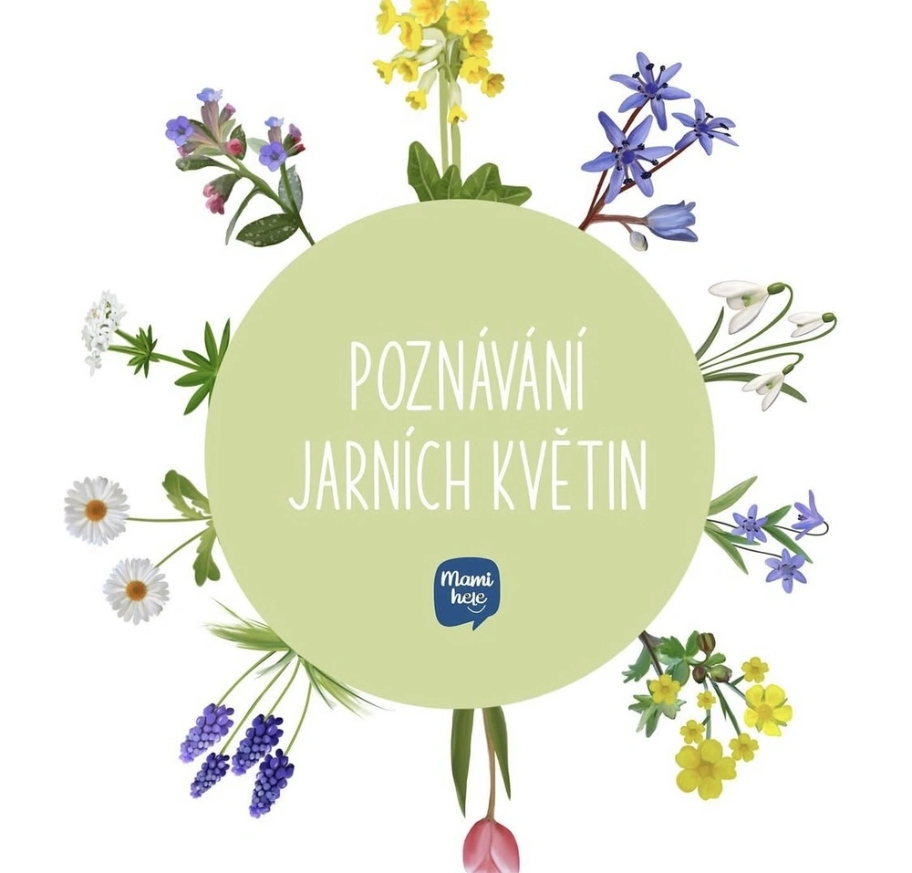 Já mám, kdo má - Jarní kvítí - digitální materiál