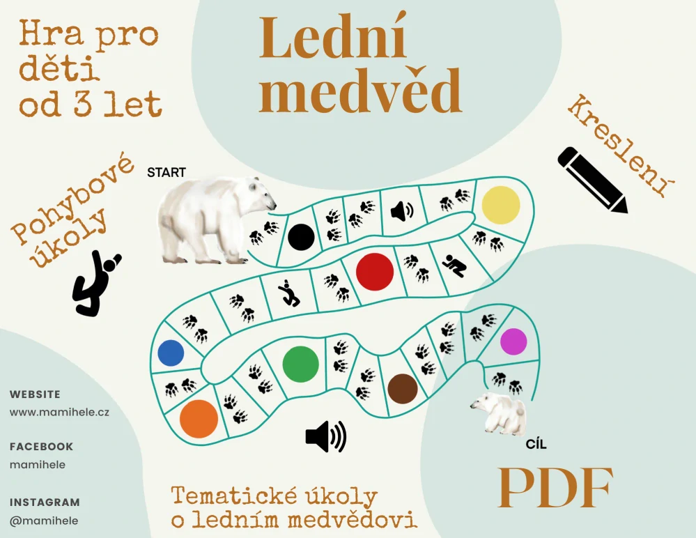 Lední medvěd - digitální materiál