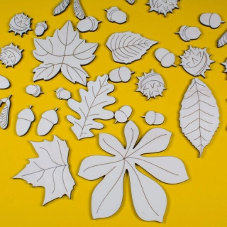 Listy a plody - sada 31 ks